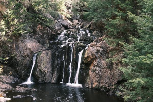 A Quiet Morning in Victoria Park