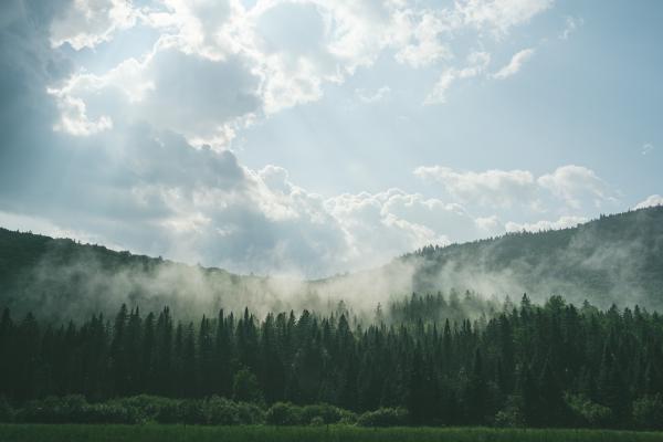 After the Rain in the Quebec Mountains