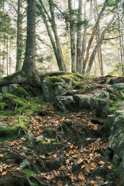 Fall Hike at Blue Mountain Wilderness Area