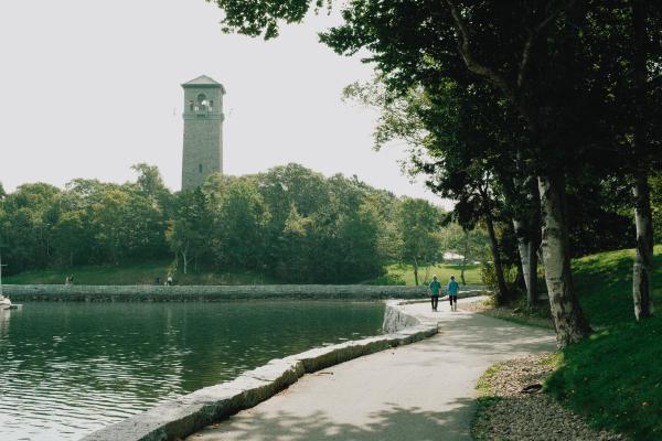 Late Summer Morning on the Northwest Arm