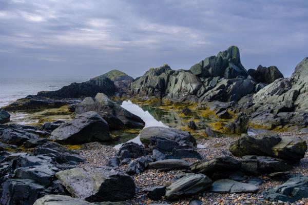 Scenes from Cape Forchu