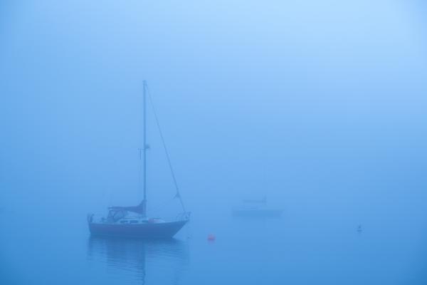 Bedford Basin in the Fog