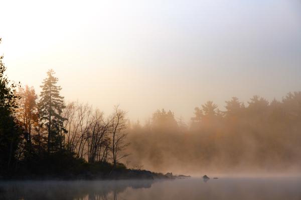 Fall Morning Mist On The Lake