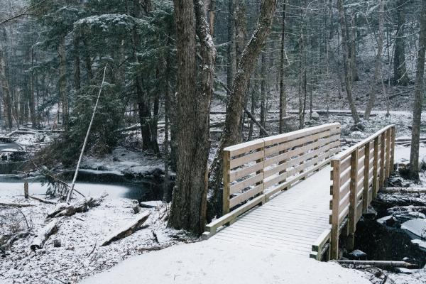Peaceful Walk in the Snow