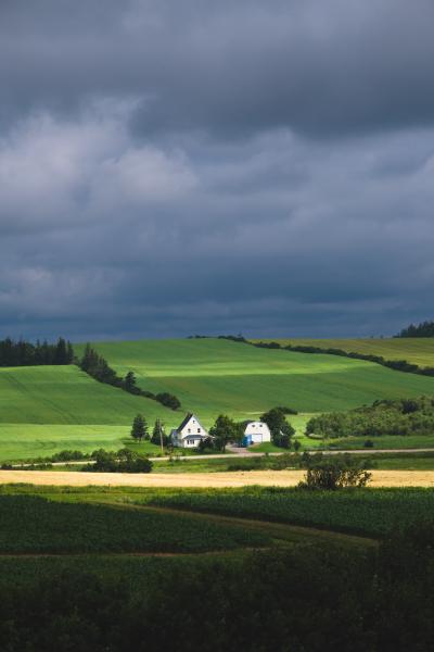 Summer in PEI