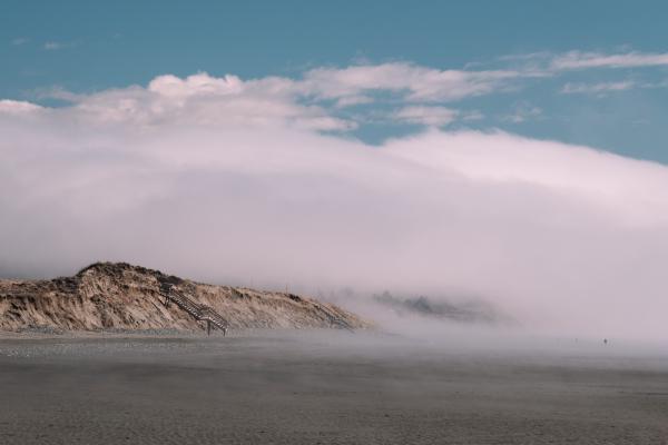 Surfers in Mavillette Fog