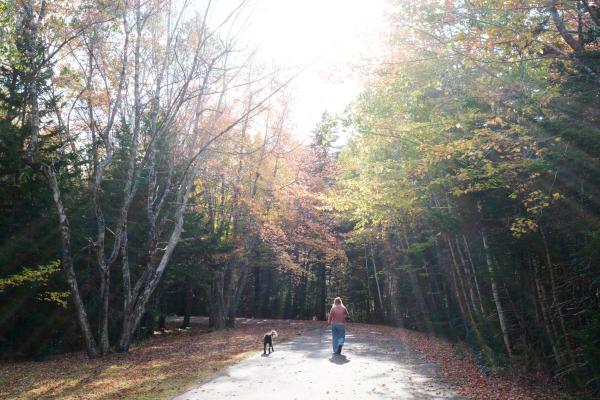 The Fall Collection '25