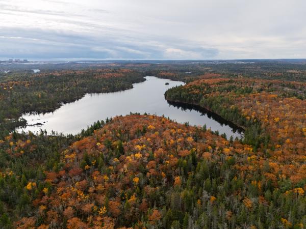 Fall Colours in Nova Scotia
