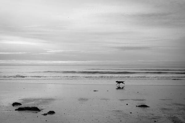 A November Morning on the Coast