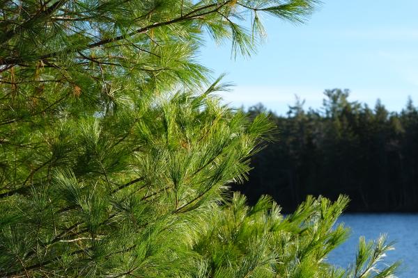 Fall at Mount Uniacke Estates