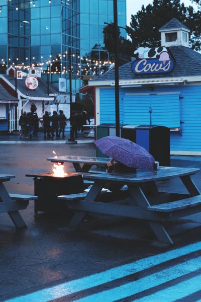 Halifax's Evergreen Festival In The Rain