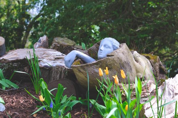 Halifax Public Gardens in Spring