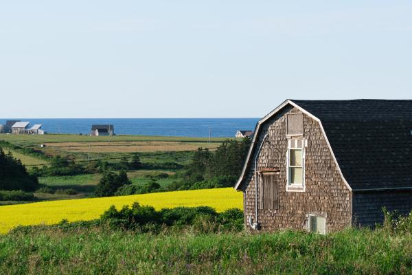 A Week In Prince Edward Island