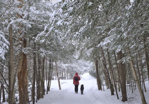 2021 Photography Review